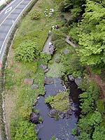 かけはしから見たあやめ池