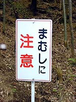 ܂ނɒ