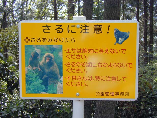 Tɒ